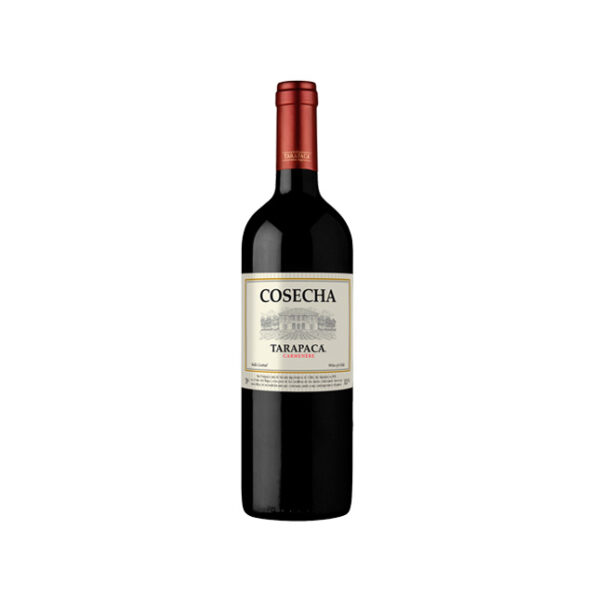 Tarapacá Cosecha Carménère